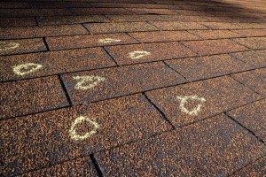 Reasons You Need A Roof Inspection This Fall